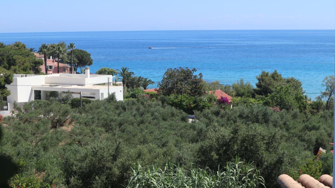 Patronis Studios Αμμούδι Εξωτερικό φωτογραφία